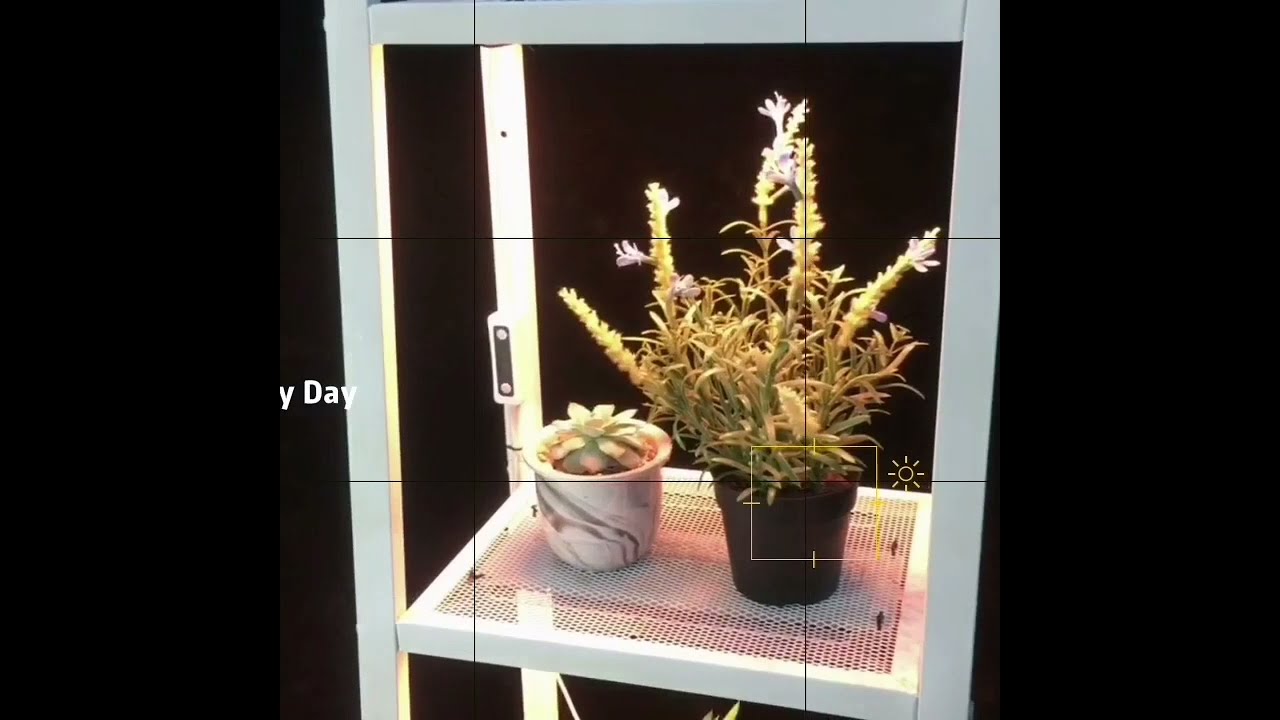 Ultra thin 20W led grow light panel with timer function