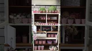 Heilbronner Shoppingtipp Vol. 3 - Blumenläden