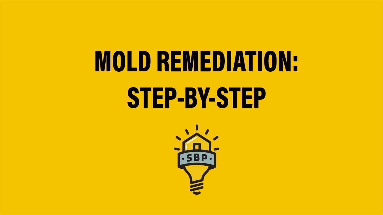 SBP: Step-by-Step Mold Remediation Guide