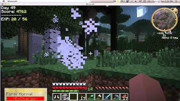 Millenaire and Twilight Forest Glitch