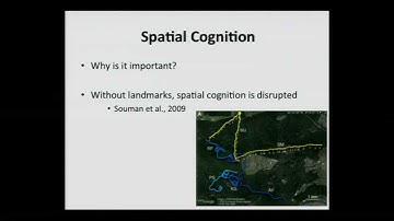 Niamh Merriman: Familiar Environments Enhance Object and Spatial Memory