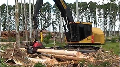 LogMax 10000XT on Tigercat H855C fom Uruguay.avi