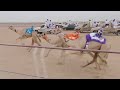 الشوط 5 ادنوك لـ عتيج بن سالم بن يعروف الزرعي 2 09 