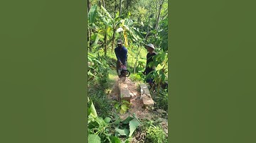 techniques and skills for splitting wood with great precision #shorts
