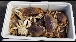 Best Tide to Catch Crab - Oregon Crabbing