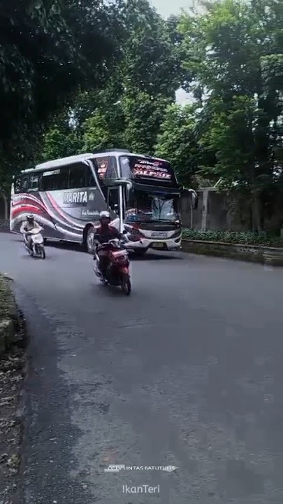 Telolet Basuri Iming - Iming Bus ALFAIZ Marita #shorts #telolet #basuri #busmania #huntingbus #viral