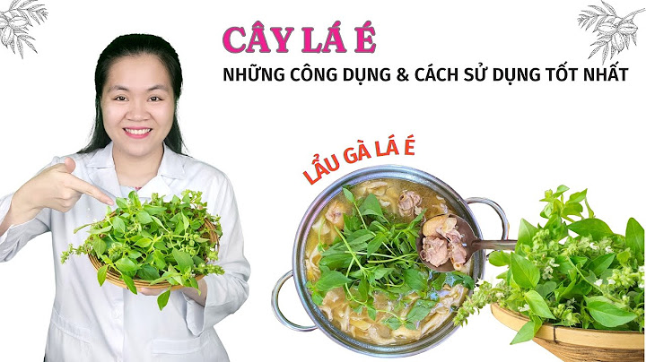 Các chất hóa học có trong củ sắn