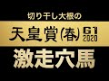 【天皇賞・春2020】マジで自信あります！徹底予想！