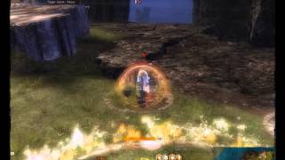 Guild Wars 2 Elementalist Bugs patch 14.12.12