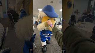 Checking out AFC Wimbledon hospitality inside Omnia Lounge ⚽️