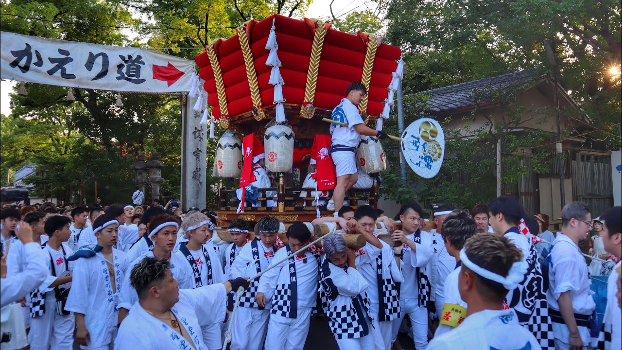 令和5年　大阪市平野区　平野郷　杭全神社夏祭り　太鼓台　足洗い　杭全神社出発〜樋之尻橋まで。
