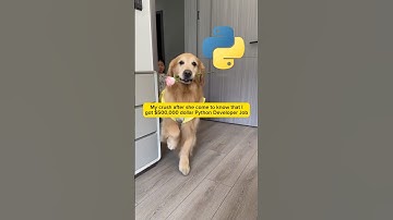 My Crush after I got $500,000 as Python Developer Job be like #shorts #viral #funny #meme #python