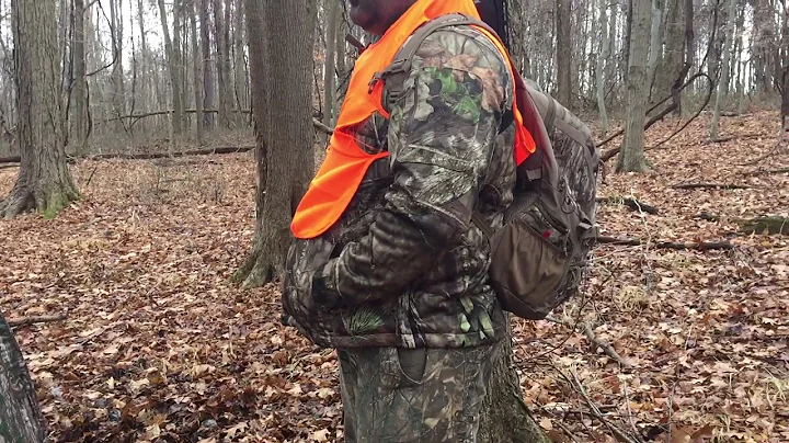 Pre Pa Rifle Season Setup (State Game  Lands)