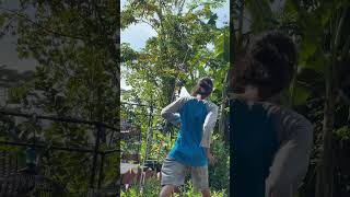 Download Lagu Terekam detik-detik burung datang dan poin 1 #burung #kicaumania #qinarabanyuwangi MP3 Download Lagu Terekam detik-detik burung datang dan poin 1 #burung #kicaumania #qinarabanyuwangi MP3