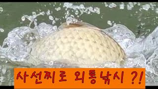 #사선찌로 외통낚시하는 노하우와 