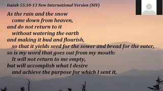 The Sower Went Forth to Sow