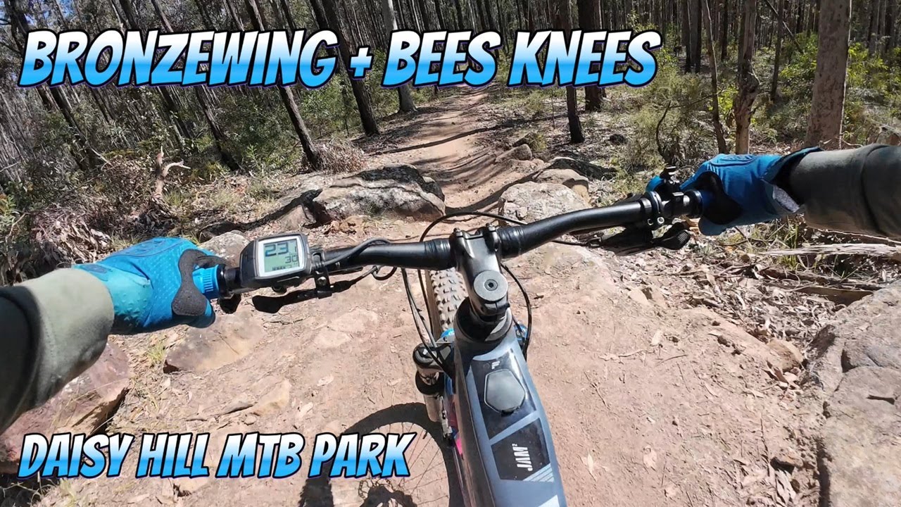Bronzewing and Bees Knees | Daisy Hill MTB Park