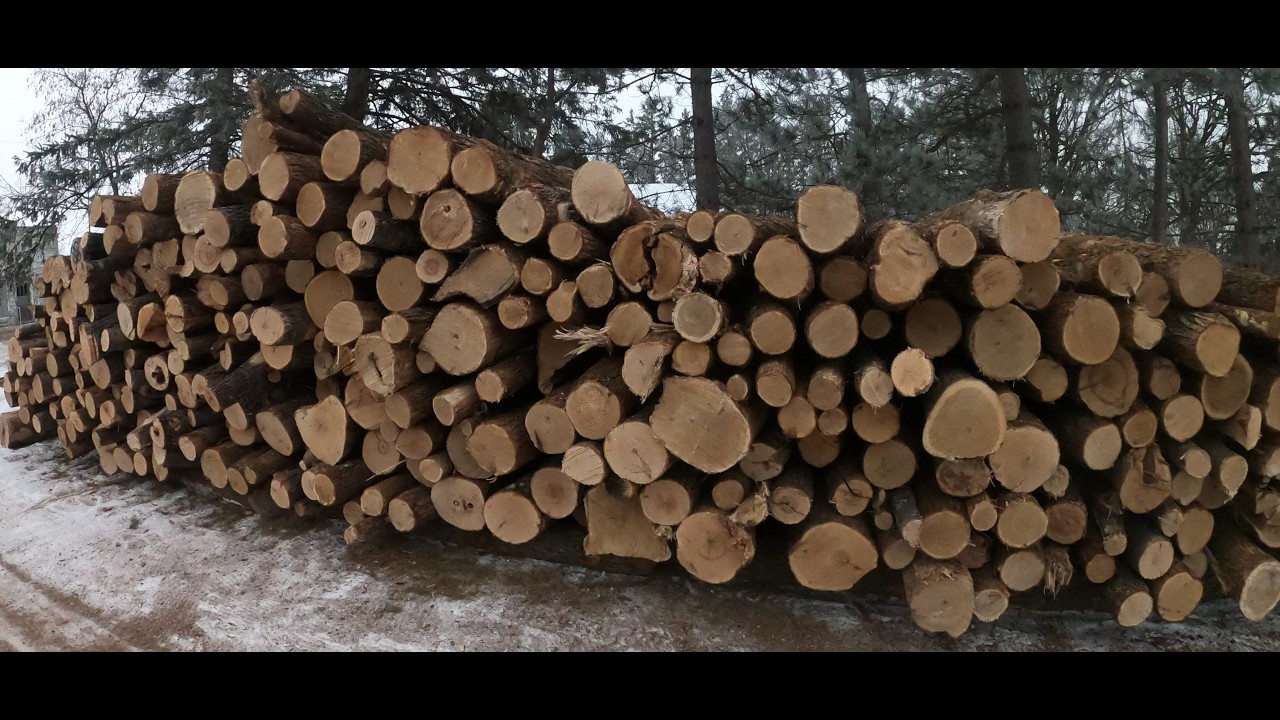 Wow! Thats a lot of wood to hand split. Can I do it.