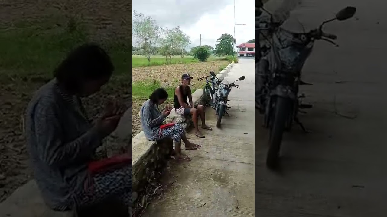 5.7 hectares land along the road of San Manuel Tarlac for sale na may