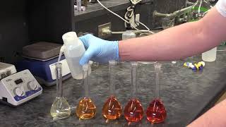 Equilibrium Lab