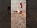 Matchstick Amazing Experiment 😱 Diwali Crackers Reaction #shorts