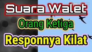 Suara Walet Orang Ketiga Responnya seperti Kilat