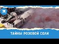 Тайны розовой соли: В Крыму началась добыча розовой соли