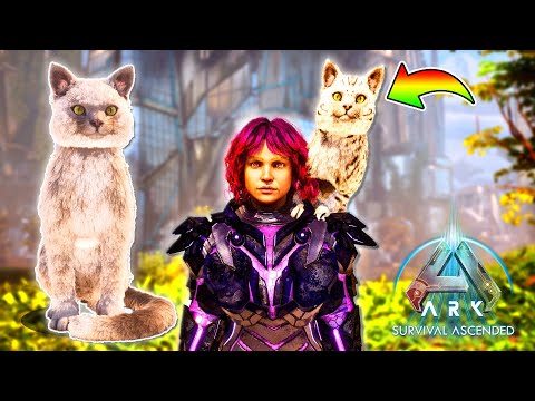 A cat has been added to ARK! 🐈🆚🦖【Ark/ASA】#32 - YouTube