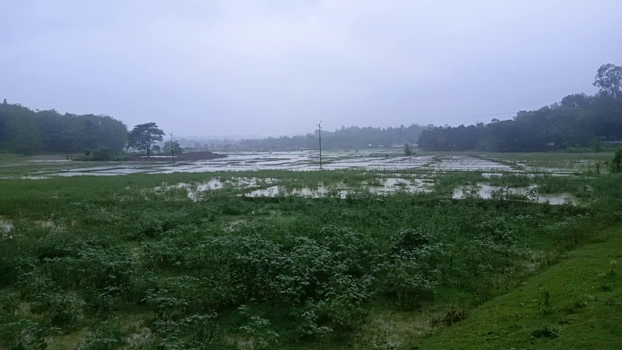 Balminduri daal salni bakko