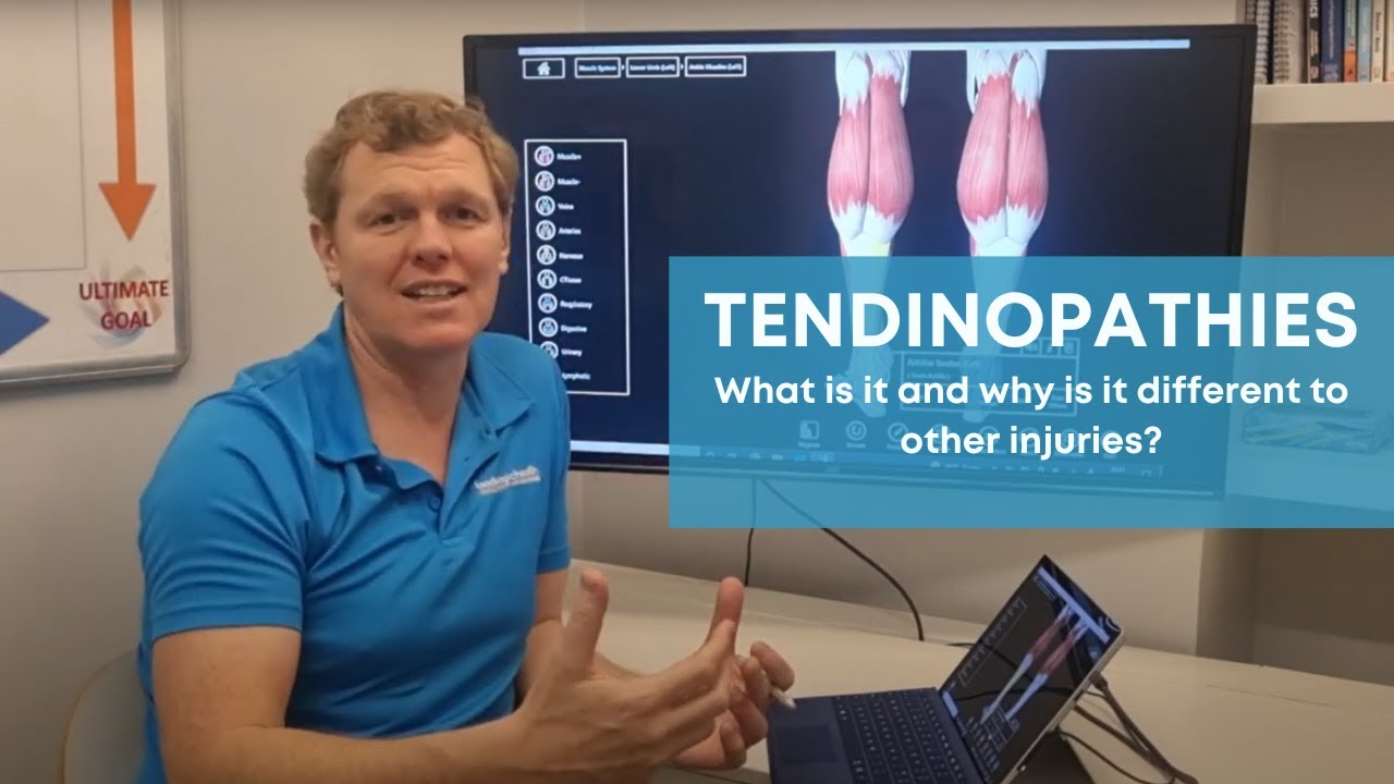 Tendinopathy What Is It And Why Is It Different To Other Injuries tendinopathy-what-is-it-and-why-is-it-different-to-other-injuries