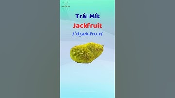 Trái Mít - Học từ vựng và phát âm tiếng Anh #thaytuvuitinh