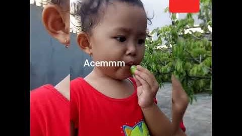 Expresi lucu anak makan blimbing wuluh###AAAACCCEMMMM🤣🤣🤣🤣🤣