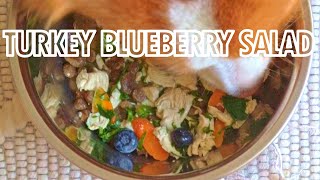 The Dog Chef Turkey Spinach Salad With Blueberry And Goats Cheese Easy Homemade Dog Food Recipes