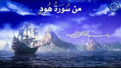 💥تلاوه رائعه ⚘ القارئ شريف مصطفي💥 من سورة هود❤❤🌹🌹🌷