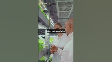 truy xuất nguồn gốc bằng mã QR khác gì so với truyền thống