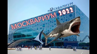 МОСКВАРИУМ на ВДНХ..Рай не только для детей?...Экскурсия на все 100 % !