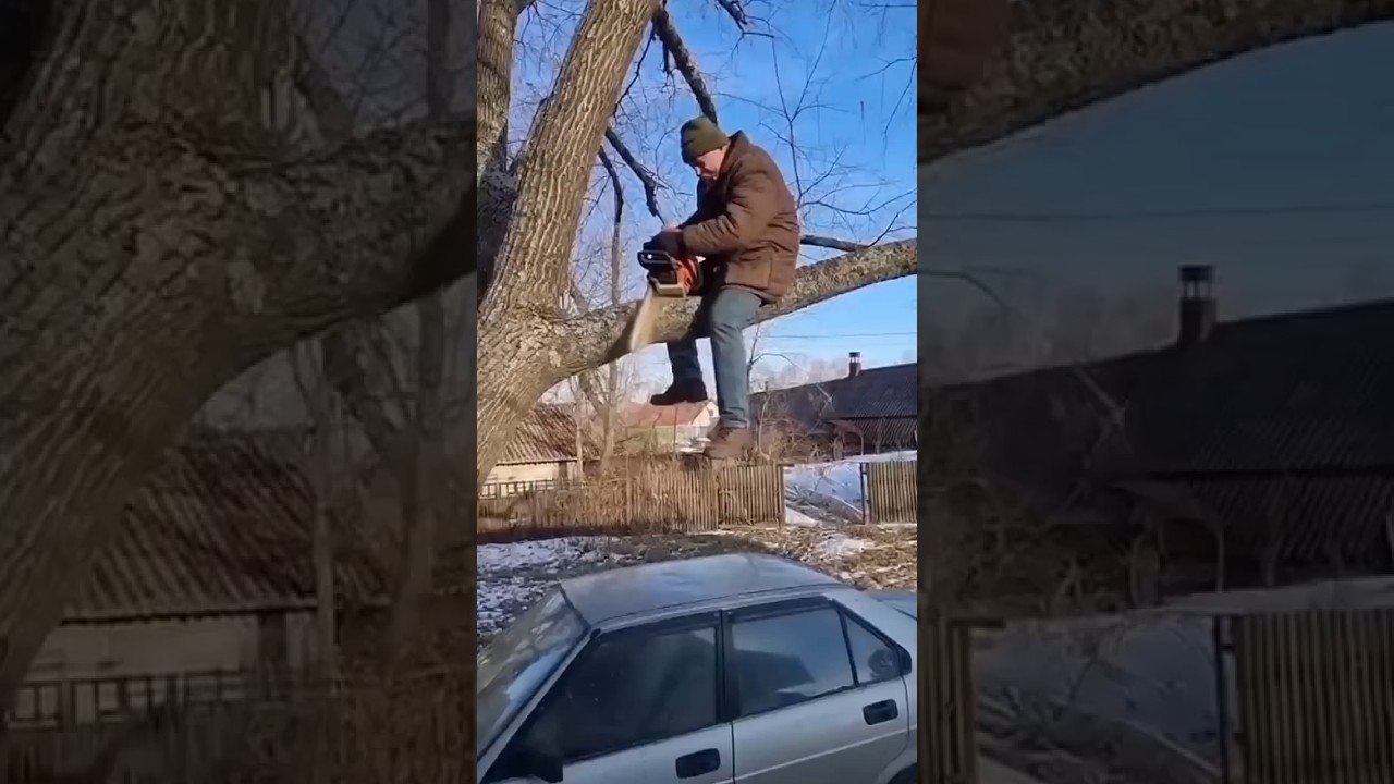 Не пили сук на котором сидишь ,сработала пословица. #trend #прикол #деревня  #авто  #automobile
