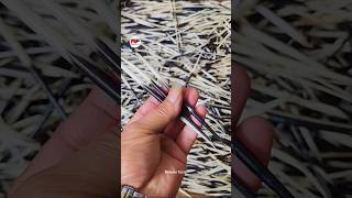 Why Do Farmers Collect Porcupine Quills? (Shocking Truth)