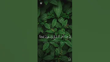 إ ن ه ذ ا أ خ ي ل ه ت س ع و ت س ع ون محمـد صديق المنشاوي سورة ص 