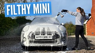 Filthy Mini Cooper Deep Clean | Exterior Decon Wash & Protection screenshot 5