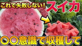 No mistakes] Just look at the tendrils and cut them off! The best