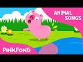 Did You Ever See My Tail? | Animal Songs | PINKFONG Songs for Children