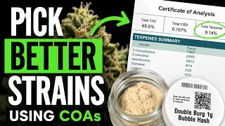 How to Pick Strains You’ll Actually Like at the Dispensary (Using the Certificate of Analysis)