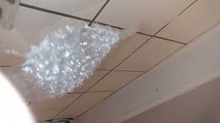 So satisfying on bubble wrap 