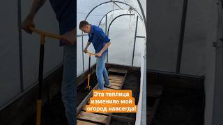 Эта теплица изменила мой огород навсегда! #теплица #урожай #сад #дача #огород #овощи #томаты #перец