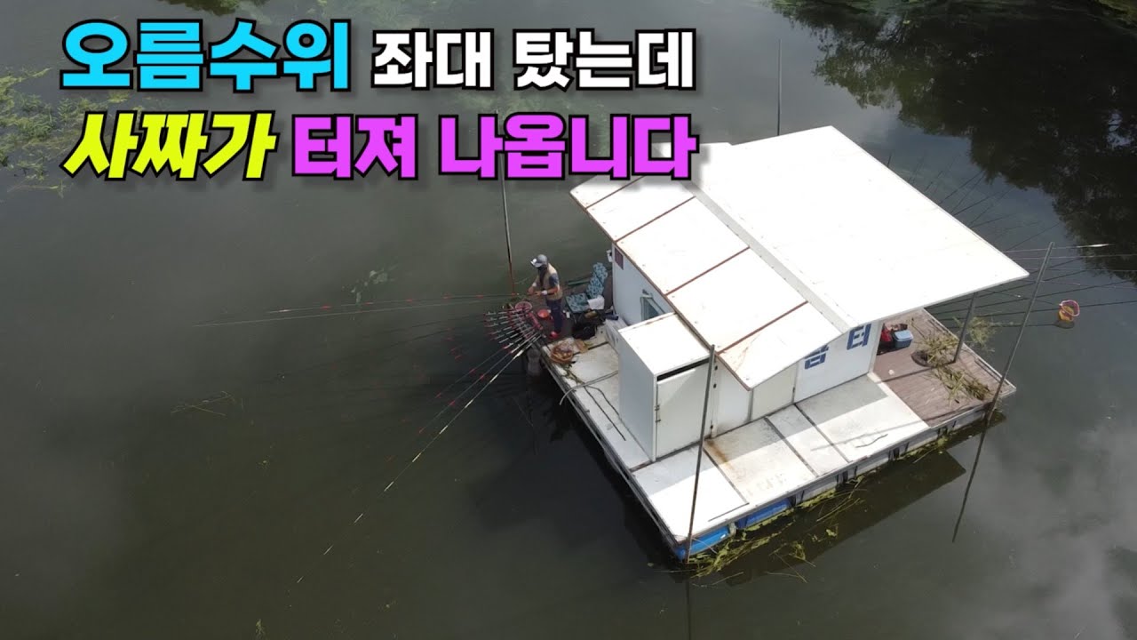 오름수위 좌대 탔는데 사짜가 터져 나옵니다!! 대박 붕어낚시 하고 왔습니다