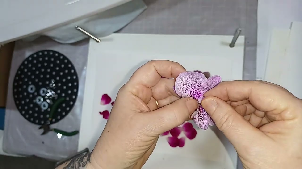 Como fazer uma prensa botanica para desidratar flores e folhas .