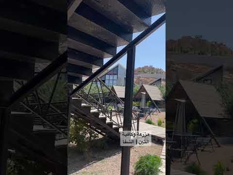 مزرعة وكافية التين الشفا