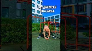Ежедневная растяжка #спорт #nogymworkout #sports #растяжка
