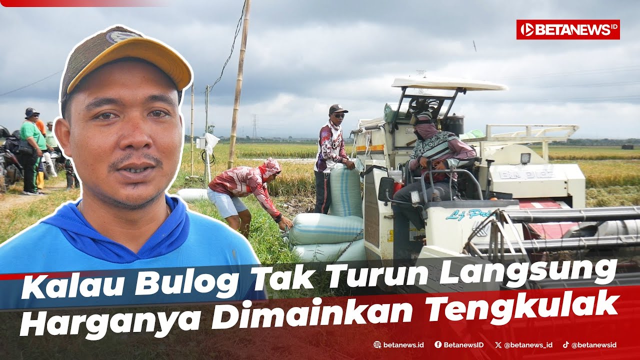 Petani Kudus Semringah Presiden Prabowo Buat Kebijakan Gabah Dibeli Bulog